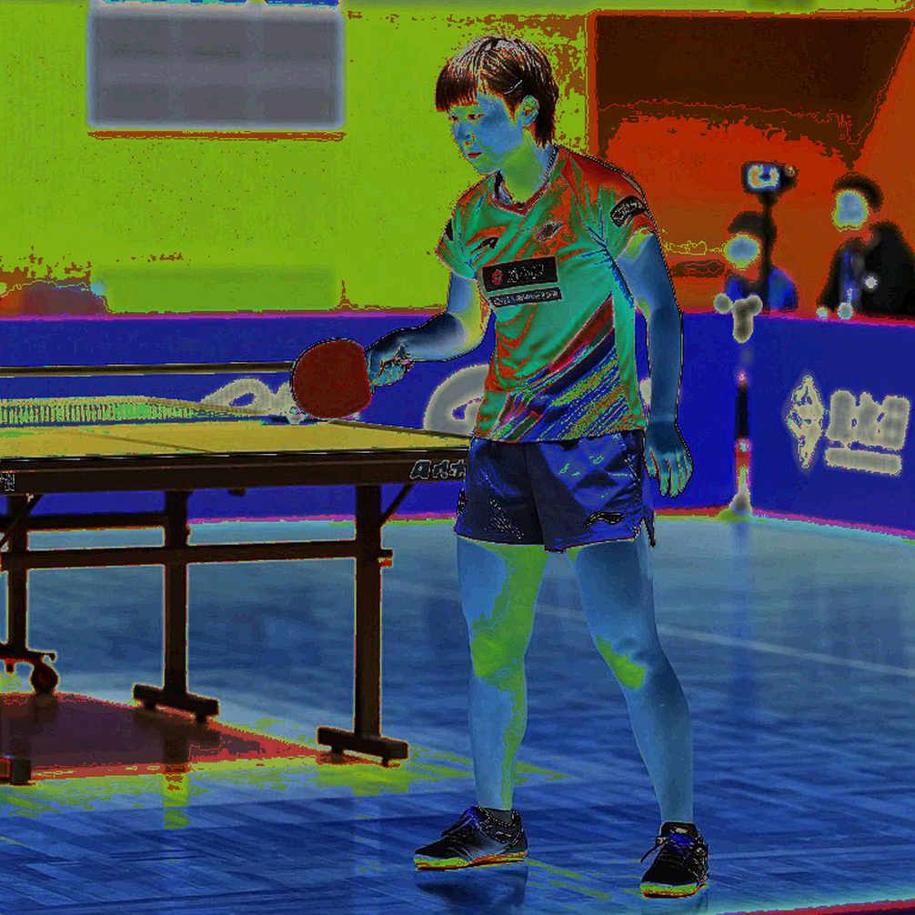 Katy, Texas: When the U.S. youth table tennis system swept all 14 golds at the Americas U11-U13 Championships