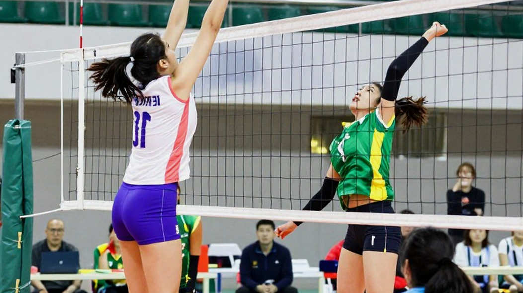 Bóng chuyền nữ Việt Nam dừng chân tứ kết Asian Games 2026: Đường chuyền một và cái trần cấu trúc Bóng chuyền nữ Việt Nam dừng chân tứ kết Asian Games 2026: Đường chuyền một và cái trần cấu trúc