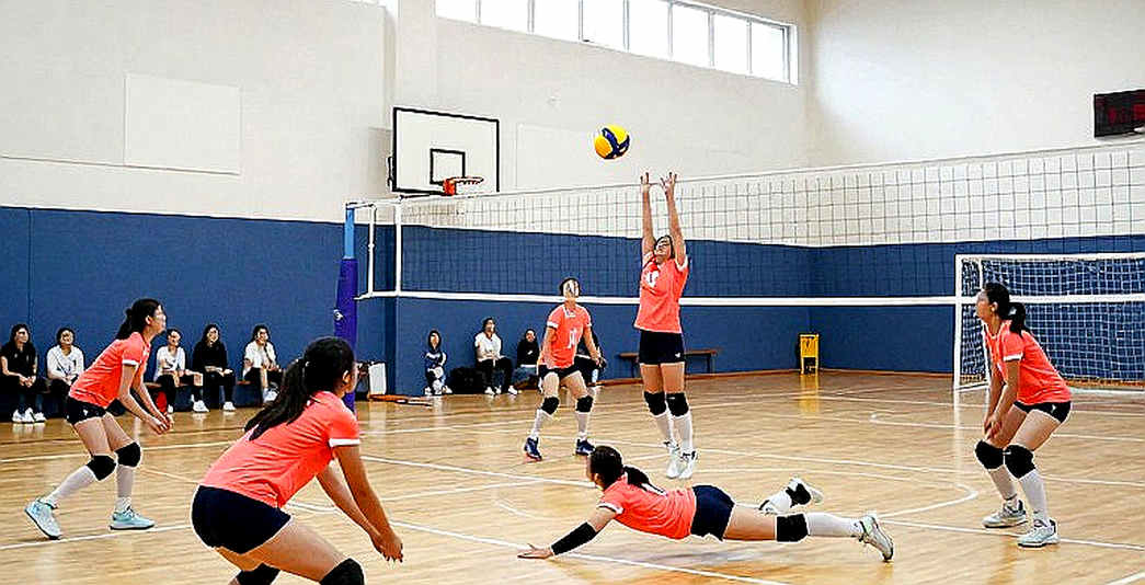 EuroVolley 2026: Türkiye 3-0 Serbia – Chiến thắng của giao bóng, và cảnh báo về mắt xích Vargas
